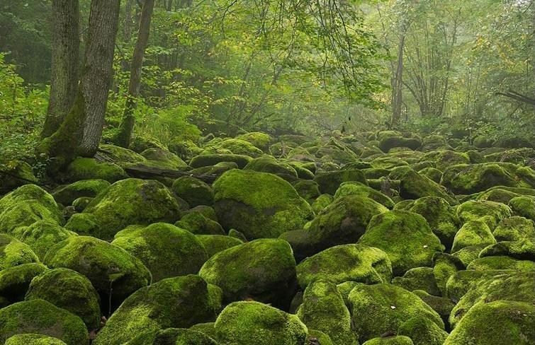 Ragnar Glamp Ergli Ērgļi Exteriör bild